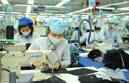 Business formations in Vietnam rise 7.3% m/m in November