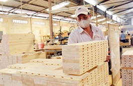 Vietnam timber export makes record this year