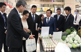 Vietnam expects strong growth of Japanese investment inflows