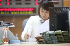 Vietnam’s banking sector in 2020: profitability and vulnerability are higher
