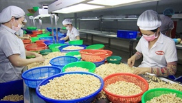 Eurasia remains untapped market for Vietnam exports