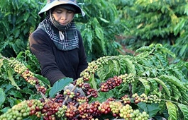 Russia’s doors open for Vietnamese products: Official