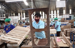 Thanh Hoa Province boosts rural forest product processing