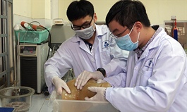 Vietnam team wins regional tech contest with bio-material stronger than steel