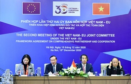 EU-Vietnam Joint Committee holds second meeting online