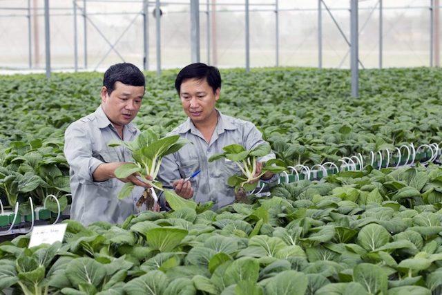 宏观分析-越南投资,越南私募基金,越南必要更多高科技农业来促进经济增长发展高科技农业仍旧是一个必然趋势，应该是越南农业部门未来的发展方,越南证券,越南美女,(1)