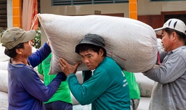 Shipping container crunch lifts Vietnam rice rates to 9-year peak