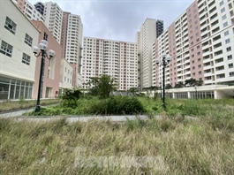 City straddled with abandoned housing blocks