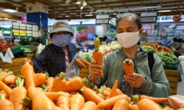 Vietnam targets 6.5 pct GDP growth next year