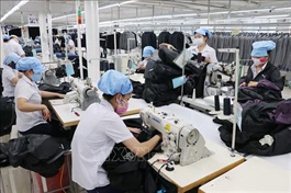 Danang’s unemployment rate highest in 10 years