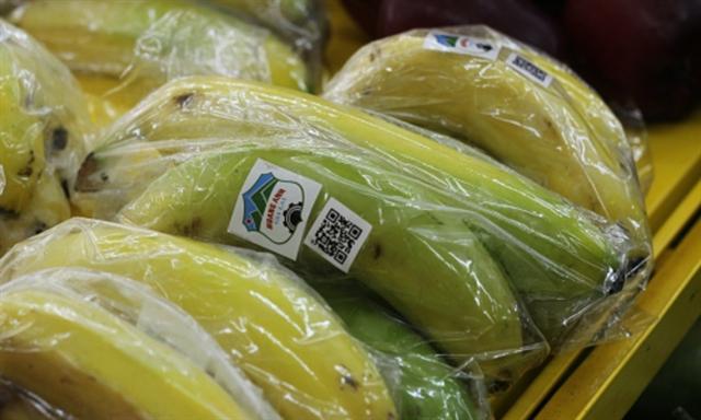 HAGL to sell stake in agriculture subsidiary (HNG)