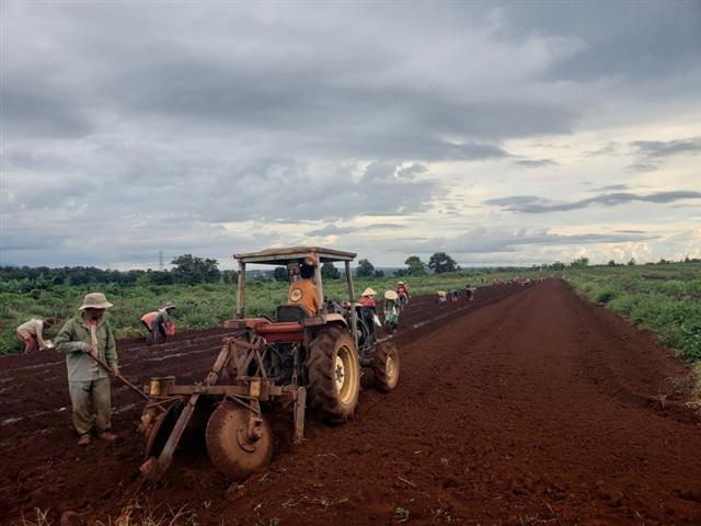 PepsiCo Foods Vietnam expands international quality potato cultivation project