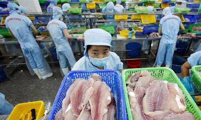 Anh tiêu thụ mạnh cá tra Việt Nam