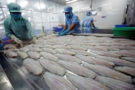 Pangasius fish exports to UK surge