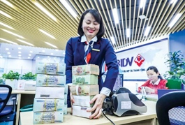 Vietnam must reverse image of currency manipulator