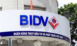 BIDV (BID) profits down 16 pct