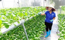 Hanoi agriculture strives to grow at least 3% this year