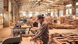 Vietnam targets US$14-billion forestry exports in 2021
