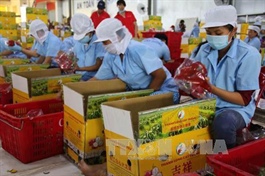 U.S. has yet to work out plans to tax Vietnamese imports