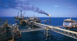 Petrovietnam calls for investment in its newly-found gas fields