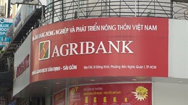 Agribank profit drops due to pandemic