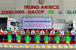 Vietnam ships first batch of rice in 2021