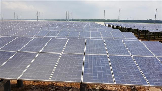 5 dự án điện mặt trời bị phạt, truy thu thuế 210 tỉ đồng