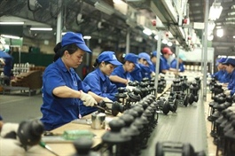 Vietnam economy to enjoy a rosy 2021: HSBC
