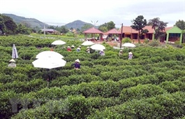 Thai Nguyen hi-tech agricultural zone set up