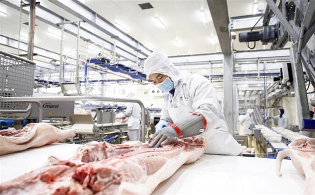 Russia’s AVG Capital to develop $1.4 billion pork processing complex in Thanh Hoa