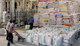 Vietnam to export over 6 million tons of rice in 2021