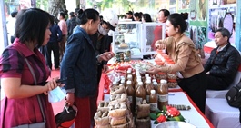 Hanoi boosts promotion of Vietnamese goods
