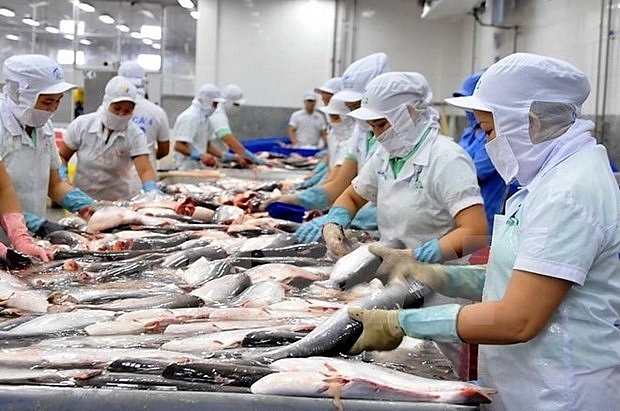 Cambodia’s suspension of fish import goes against WTO trade liberation spirit: Minister