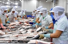 Cambodia’s suspension of fish import goes against WTO trade liberation spirit: Minister