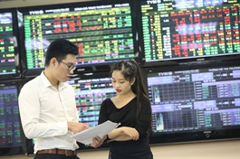 Liquidity soars to record high in Vietnam stock market in January