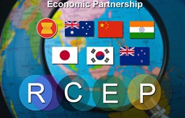 Suitable policies related to RCEP should be planned now
