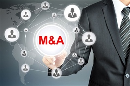 Vietnam M&A activity in strong position for recovery in 2021: PwC