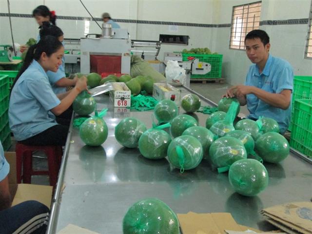 Vietnamese goods reach out to global markets despite pandemic