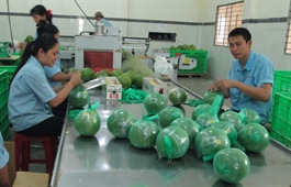 Vietnamese goods reach out to global markets despite pandemic
