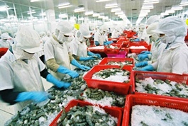 Trade ministry welcomes US decision to revoke anti-dumping charge on shrimps