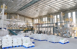 Vietnamese rice exports increase 10 percent