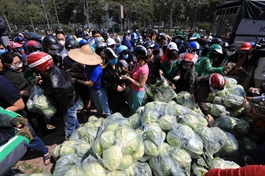 Trade ministry urges clearing hurdles for sales of Hai Duong farm produce