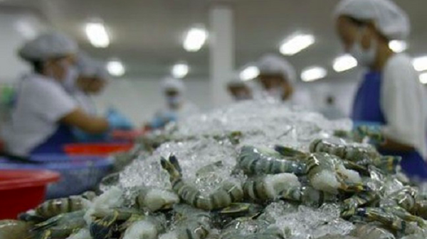 Cạnh tranh từ Ấn Độ có thể gây sức ép lên xuất khẩu tôm Việt Nam