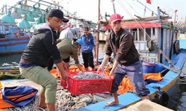 Seafood exports edge up