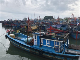 Vietnam puts in place measures to address illegal fishing