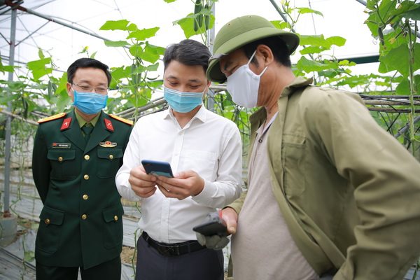 Làm gì để nông sản Việt thoát cảnh giải cứu?