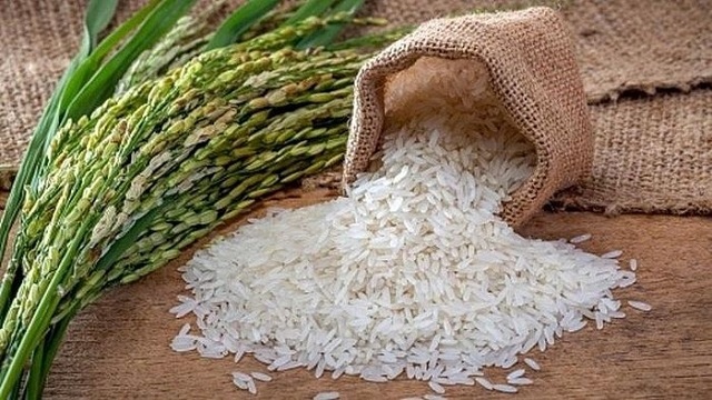 Nửa tháng, lúa gạo ĐBSCL 
