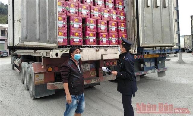 Over 5,000 tonnes of agricultural products exported daily through Tan Thanh Border Gate