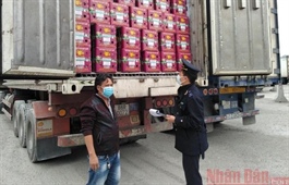 Over 5,000 tonnes of agricultural products exported daily through Tan Thanh Border Gate