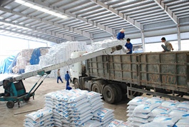 Vietnam continues slapping safeguard duty on fertilizer imports